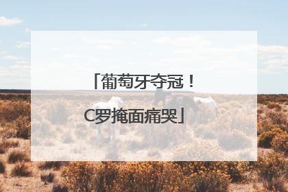 葡萄牙夺冠！C罗掩面痛哭