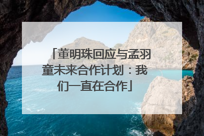 董明珠回应与孟羽童未来合作计划：我们一直在合作
