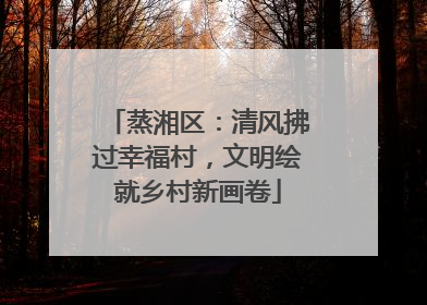蒸湘区：清风拂过幸福村，文明绘就乡村新画卷