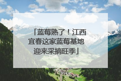 蓝莓熟了！江西宜春这家蓝莓基地迎来采摘旺季