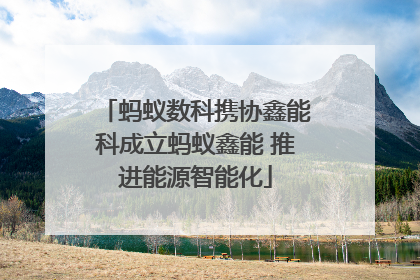 蚂蚁数科携协鑫能科成立蚂蚁鑫能 推进能源智能化