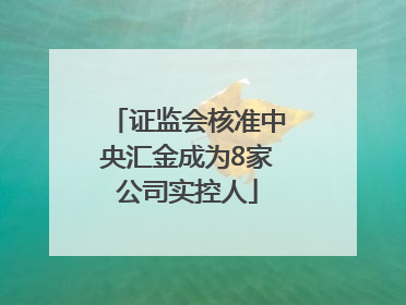证监会核准中央汇金成为8家公司实控人