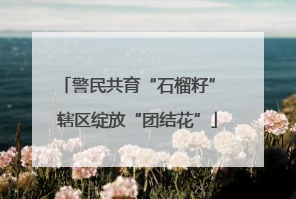 警民共育“石榴籽” 辖区绽放“团结花”
