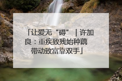 让爱无“碍”｜许加良：重疾致残始种藕 带动致富靠双手