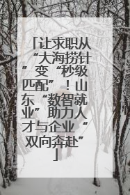让求职从“大海捞针”变“秒级匹配”！山东“数智就业”助力人才与企业“双向奔赴”