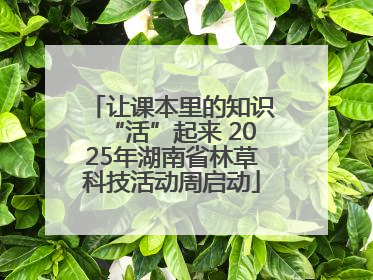 让课本里的知识“活”起来 2025年湖南省林草科技活动周启动