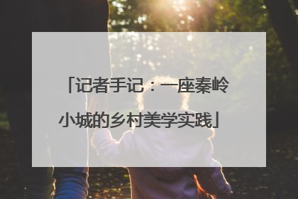 记者手记：一座秦岭小城的乡村美学实践