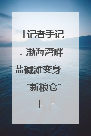 记者手记：渤海湾畔盐碱滩变身“新粮仓”
