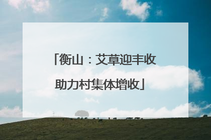 衡山：艾草迎丰收 助力村集体增收