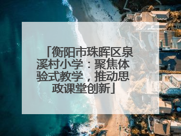 衡阳市珠晖区泉溪村小学：聚焦体验式教学，推动思政课堂创新