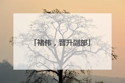 褚伟，晋升副部