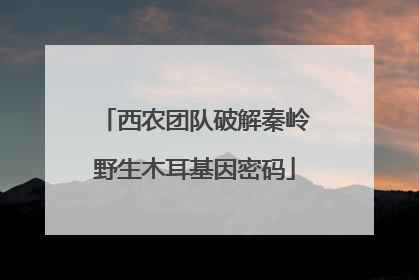西农团队破解秦岭野生木耳基因密码