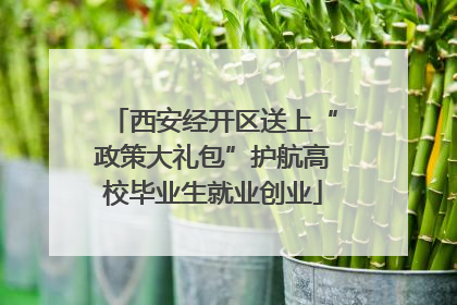 西安经开区送上“政策大礼包”护航高校毕业生就业创业