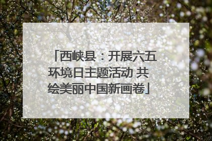 西峡县：开展六五环境日主题活动 共绘美丽中国新画卷