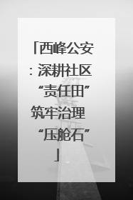 西峰公安：深耕社区“责任田” 筑牢治理“压舱石”