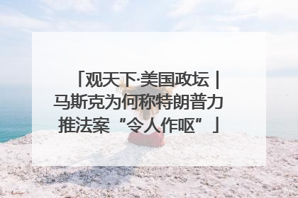 观天下·美国政坛｜马斯克为何称特朗普力推法案“令人作呕”