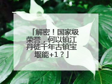 解密！国家级荣誉，何以镇江丹徒千年古镇宝堰能+1？
