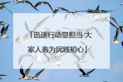 迅速行动显担当 大家人寿为民践初心