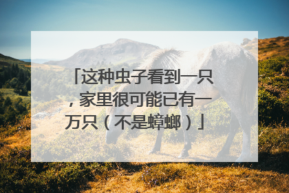 这种虫子看到一只，家里很可能已有一万只（不是蟑螂）