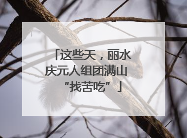 这些天，丽水庆元人组团满山“找苦吃”