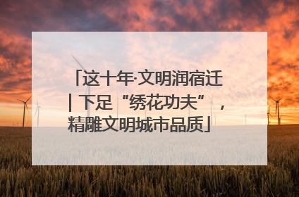 这十年·文明润宿迁｜下足“绣花功夫”，精雕文明城市品质