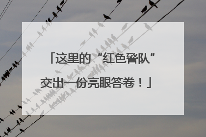这里的“红色警队”交出一份亮眼答卷！