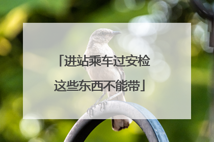 进站乘车过安检 这些东西不能带