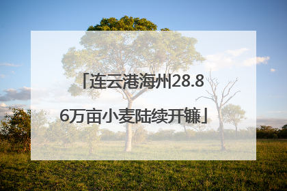 连云港海州28.86万亩小麦陆续开镰