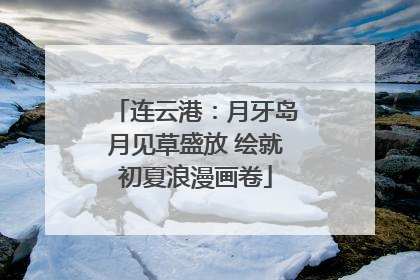 连云港：月牙岛月见草盛放 绘就初夏浪漫画卷
