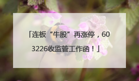 连板“牛股”再涨停，603226收监管工作函！
