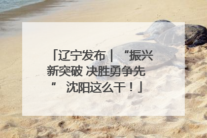 辽宁发布｜“振兴新突破 决胜勇争先” 沈阳这么干！