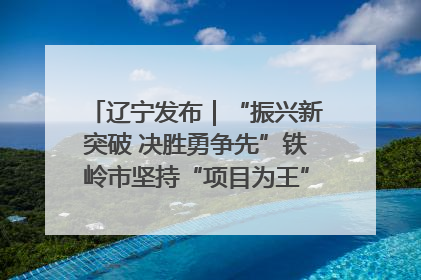 辽宁发布｜“振兴新突破 决胜勇争先”铁岭市坚持“项目为王”推进经济高质量发展