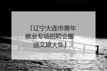 辽宁大连市青年就业专场招聘会搬进文旅大集