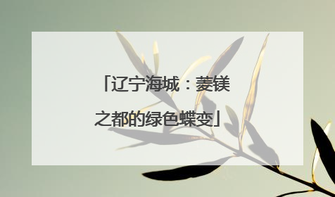 辽宁海城：菱镁之都的绿色蝶变