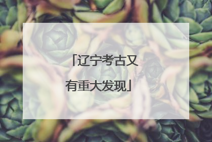 辽宁考古又有重大发现