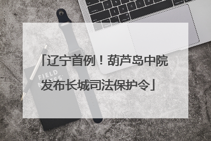 辽宁首例！葫芦岛中院发布长城司法保护令