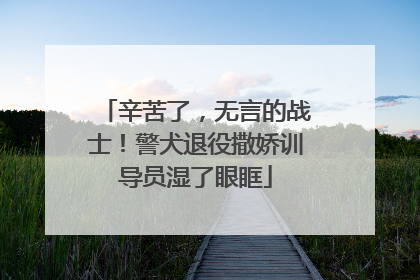 辛苦了，无言的战士！警犬退役撒娇训导员湿了眼眶