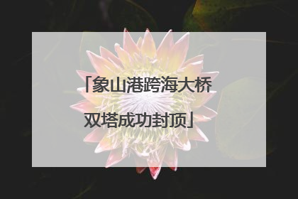 象山港跨海大桥双塔成功封顶