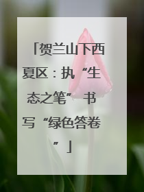 贺兰山下西夏区：执“生态之笔” 书写“绿色答卷”