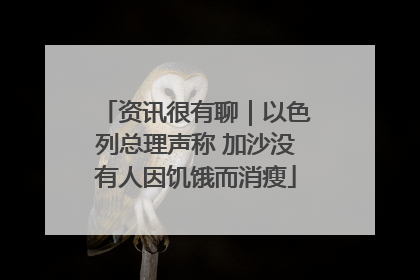 资讯很有聊｜以色列总理声称 加沙没有人因饥饿而消瘦
