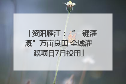 资阳雁江：“一键灌溉”万亩良田 全域灌溉项目7月投用