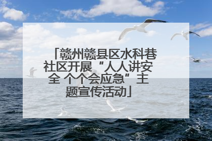 赣州赣县区水科巷社区开展“人人讲安全 个个会应急”主题宣传活动
