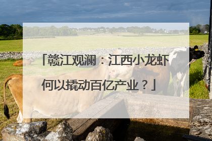 赣江观澜：江西小龙虾何以撬动百亿产业？