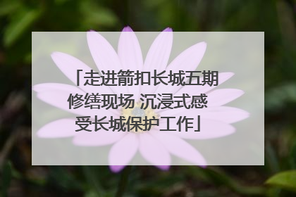 走进箭扣长城五期修缮现场 沉浸式感受长城保护工作