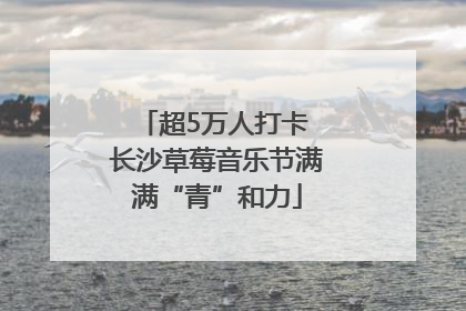超5万人打卡 长沙草莓音乐节满满“青”和力