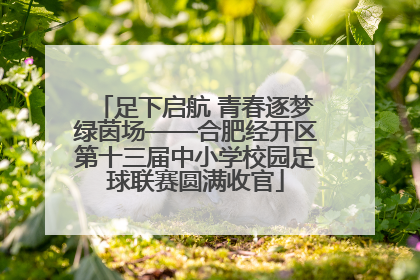 足下启航 青春逐梦绿茵场——合肥经开区第十三届中小学校园足球联赛圆满收官