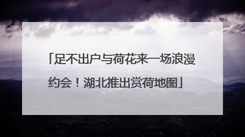足不出户与荷花来一场浪漫约会！湖北推出赏荷地图