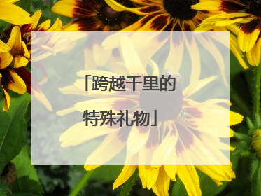 跨越千里的特殊礼物