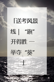 送考风景线｜“旗”开得胜 一举夺“葵”