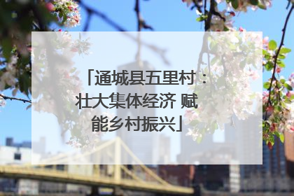 通城县五里村：壮大集体经济 赋能乡村振兴